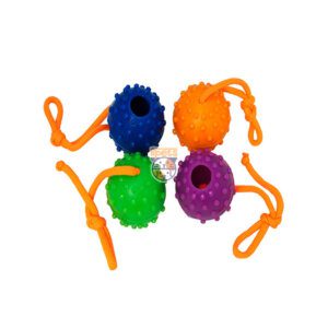 دندانی توپ آموزشی خاردار 2 توپ آموزشی