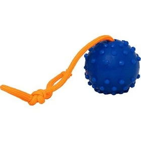 توپ اموزشی خاردار