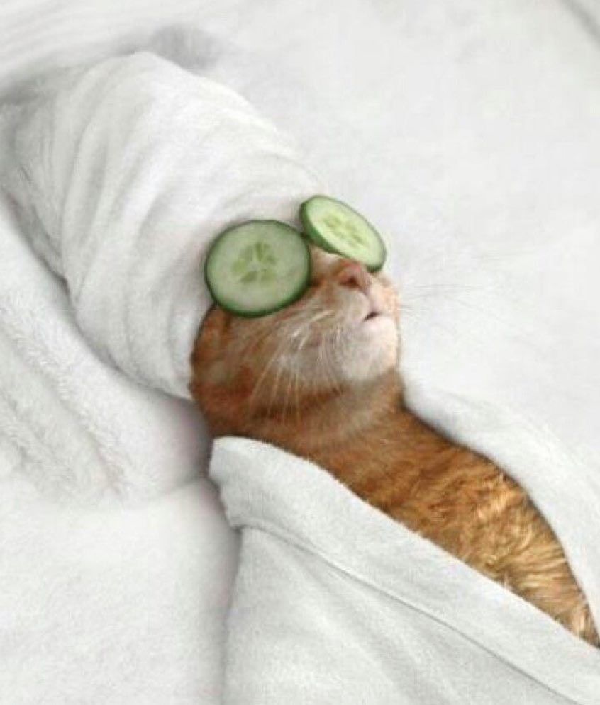 494246d572d1870f36563ff0b14e9b55 – 61