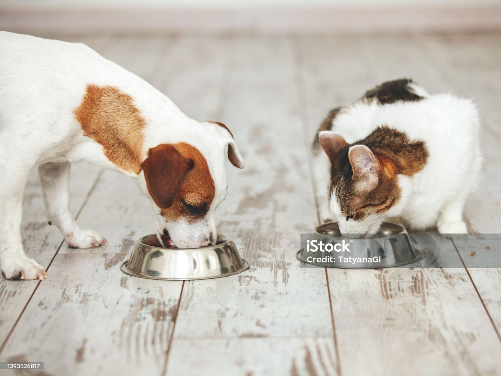 6784baa584946 bp cover image – 2