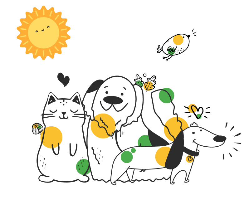 پتـزو همراه شما