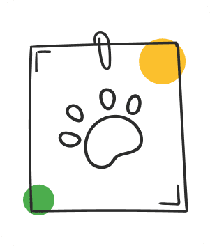 ills services names – 48