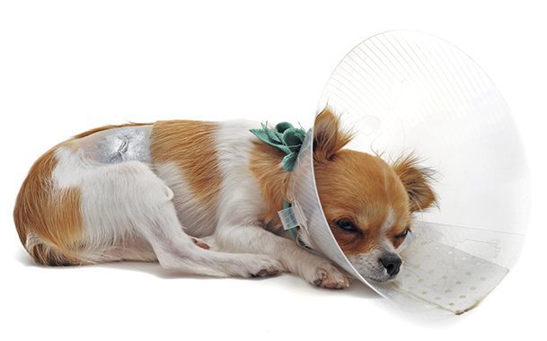 wAi4hH70JPhuKsgBCKiIZyo9sQ52r6X5TIuu7cX1 – 7